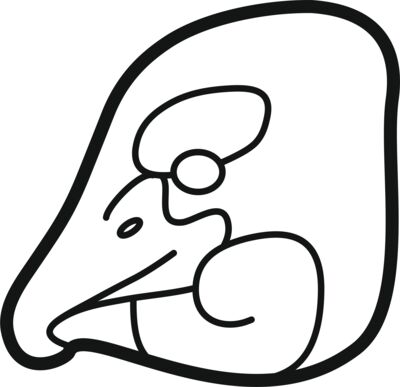 usiij